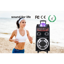 Altavoz Active Digital Karaoke con USB / SD / FM